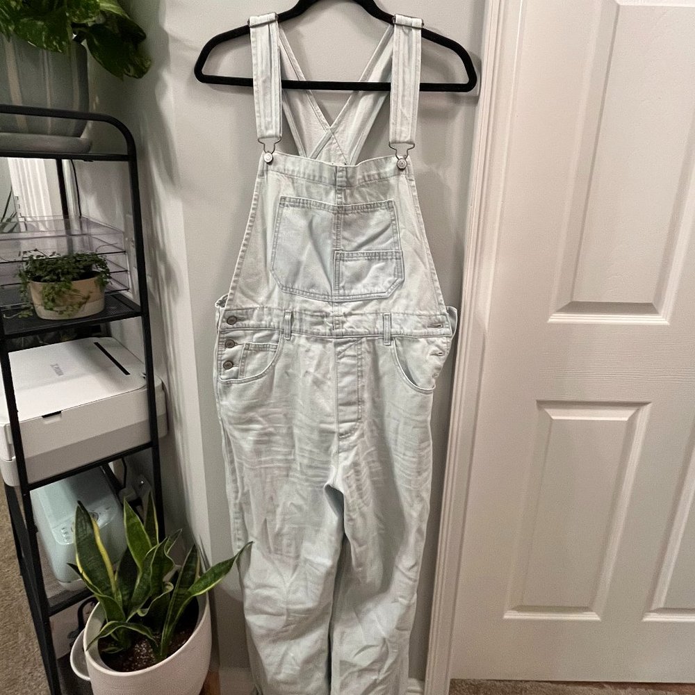 Free People We The Free Ziggy Denim Overalls